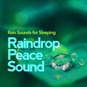 Raindrop Peace Sound - Rain Sounds for Sleeping