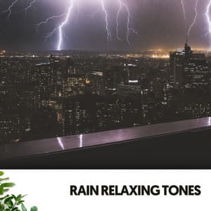 Rain Relaxing Tones: Soothing Serenades for the Soul - Dog Relaxation