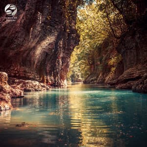 Notes Resonating With Nature - Zambezi Sounds