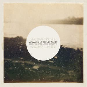 Deux fois dans le même fleuve - Arnaud Le Gouëfflec