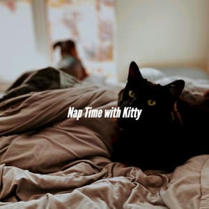 Nap Time with Kitty - Hotel Lounge Deluxe