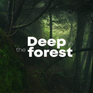 Deep In The Forest - ASMR Rain Sounds
