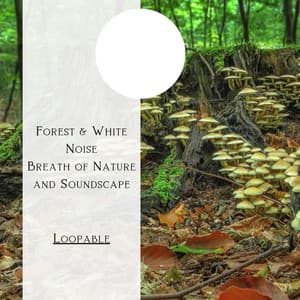 Forest & White Noise - Breath of Nature and Soundscape, Loopable - Natural Forest FX