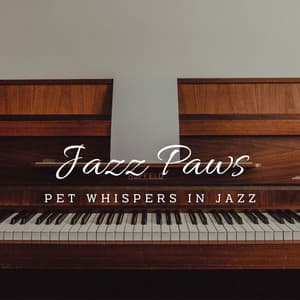 Jazz Paws and Whiskers: Coffee Lounge Serenades for Pets - Jazz Lounge Bar Relaxing