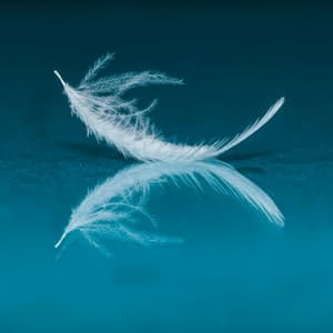 0 Hour Zen: Moments - Ocean Sounds