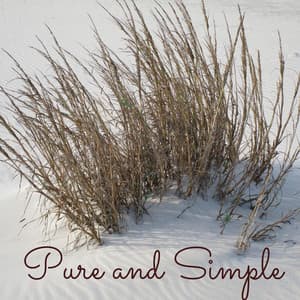 Pure and Simple - Koh Lantana