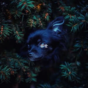 幸せ - Morgen Jazz