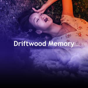 Driftwood Memory - ASMR Insomnia Aid & Sounds for Sleep