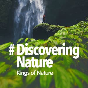 # Discovering Nature - Kings of Nature