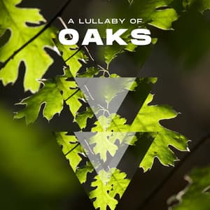 A Lullaby of Oaks - Terra Sylva