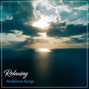 #14 Relaxing Ambience Songs - Wellness