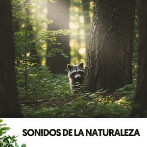 Sonidos de la Naturaleza: Melodías de la Tierra - Relajacion