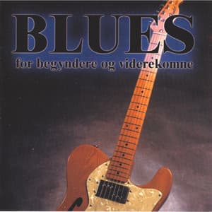 Blues For Begyndere og Viderekomne - Uffe Steen