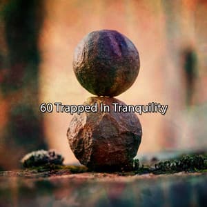 60 Trapped In Tranquility - Massage