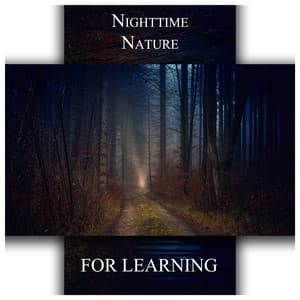 Nighttime Nature for Learning - Nature Sounds Universe