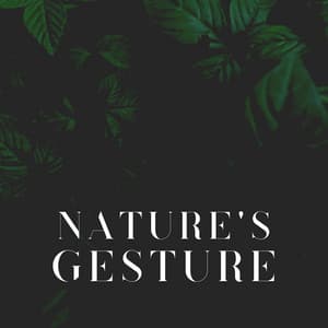Nature's Gesture - Recording Nature