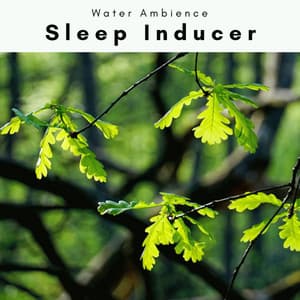 1 Sleep Inducer - Water Ambience
