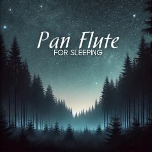 Pan Flute for Sleeping - Pan Flute Music Society