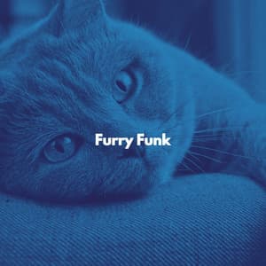 Furry Funk - Cat Relax