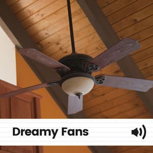Dreamy Fans - Fan Noises for Sleep