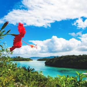 Nature Sound of OKINAWA - Ishigaki Island - - Super Natural