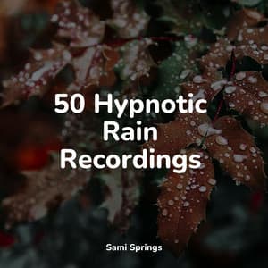 50 Hypnotic Rain Recordings - Rain Sound Plus