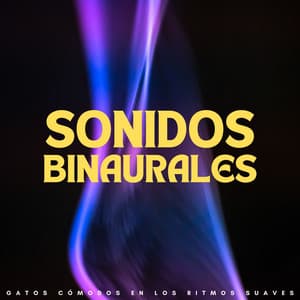 Sonidos Binaurales: Gatos Cómodos En Los Ritmos Suaves - Explorador binaural