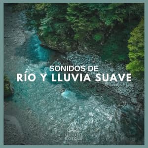 Sonidos de Río y Lluvia Suave - Lluvia Del Bosque