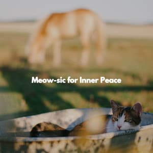 Meow-sic for Inner Peace - Jazz Classics Cafe
