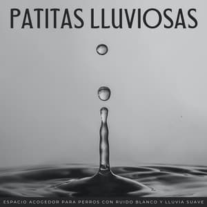 Patitas Lluviosas: Espacio Acogedor Para Perros Con Ruido Blanco Y Lluvia Suave - Ruido blanco agradable