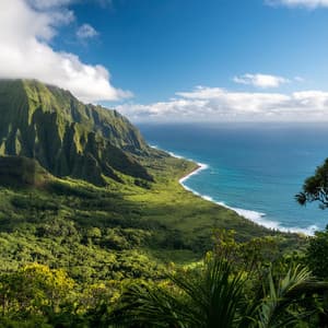 Melodías Placenteras Para Una Relajación Reparadora - Sonidos