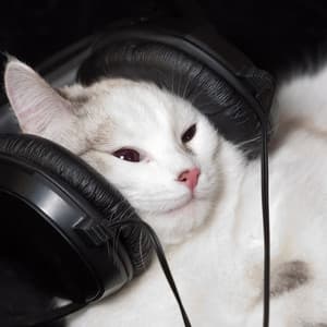 Ambient Music Cat: Whisker Waves - Jazz Music for Cats