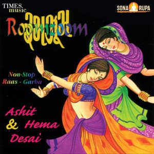 Roomzoom - Ashit Desai