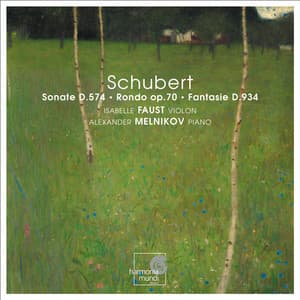 Schubert: Violin Sonata No. 4; Fantasia in C Major; Rondo in B Minor - Franz Schubert