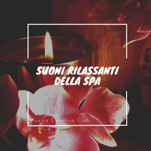 Suoni rilassanti della spa: Musica calmante per massaggi, Rilassamento e guarigione terapeutica - Musica Curativa Club