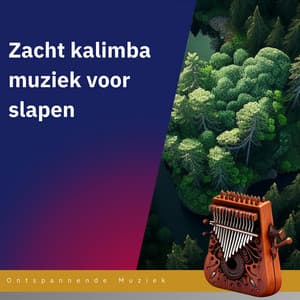 Bos geluiden: Zacht kalimba muziek voor slapen - Ontspannende Muziek