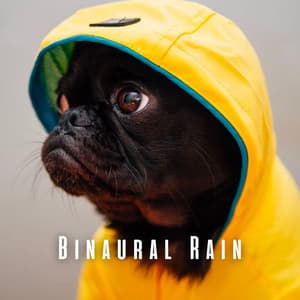 Binaural Rain: Theta Waves for Calm Pets - Sleep Rain Sounds