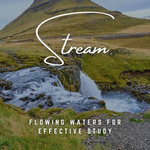 Studious Streams: Flowing Waters for Effective Study - Relaxing Study Music Retro