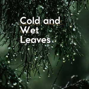 Cold and Wet Leaves - Natural Rain Sounds for Sleeping