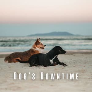 Dog's Downtime: Chill Music for Lazy Afternoons - Easy Listening Afternoon Music