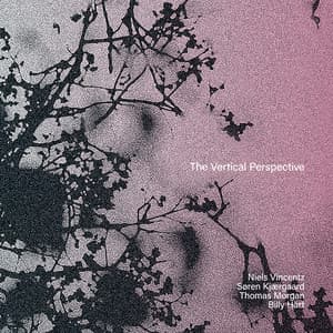 The Vertical Perspective - Niels Vincentz
