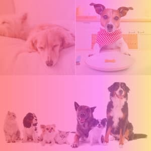 Quiet Tenor Sax Jazz - Background for Calming Pups - Dog Music Library