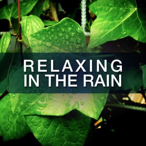 Relaxing in the Rain - Relaxing Nature Ambience