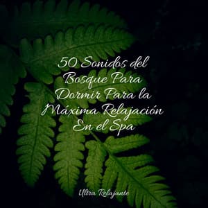 50 Sonidos del Bosque Para Dormir Para la Máxima Relajación En el Spa - Canciones Infantiles de Niños