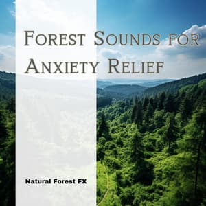 Forest Sounds for Anxiety Relief - Natural Forest FX
