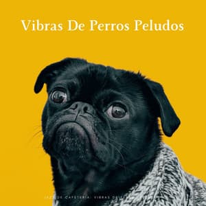 Jazz De Cafetería: Vibras De Perros Peludos - Café Música bgm