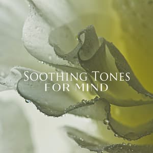 Soothing Tones for Mind: Music to Feel More Relaxed and Calm - Relaxing Evening Music Universe
