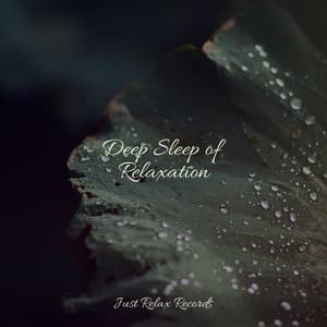 Deep Sleep of Relaxation - Música Relajante para Bebés