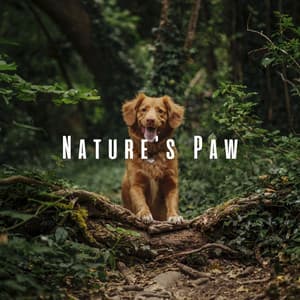Nature's Paw: Binaural Sounds for Soothing Dogs - Natures DNA