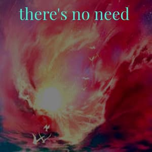 There's No Need - Lofi Radiance